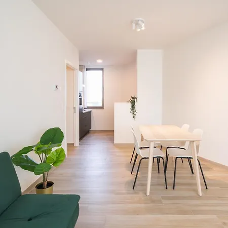 Opera In The Heart Of Apartment Antwerp