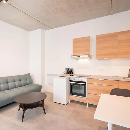 Opera In The Heart Of Apartment Antwerp