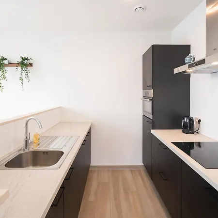 Opera In The Heart Of Apartament Antwerpia