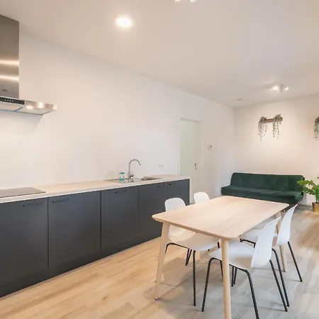 Opera In The Heart Of Apartament Antwerpia